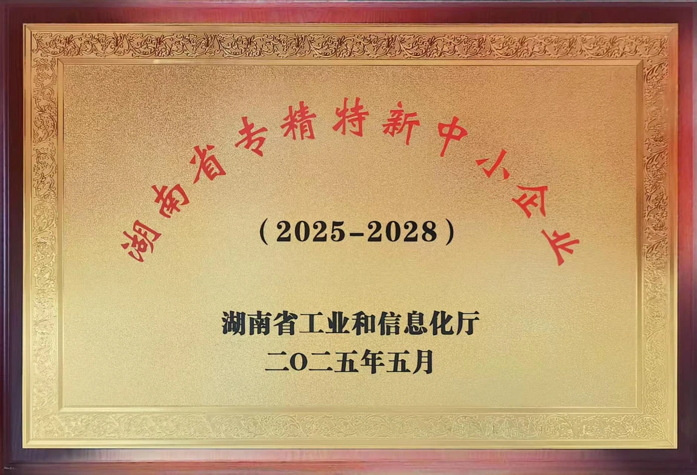Plaque recognising REALJET as a Hunan specialized and innovative SME for 2025-2028